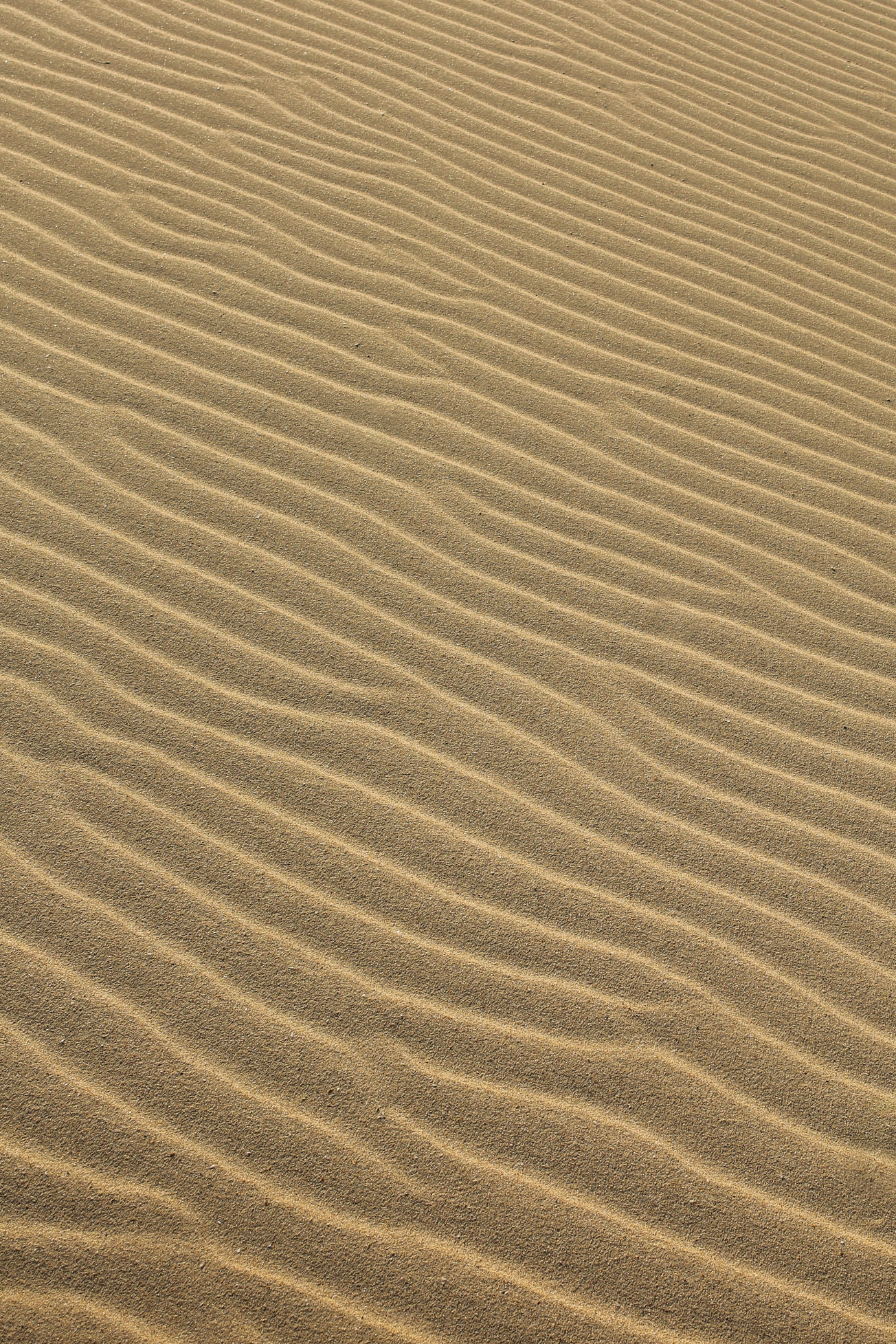 Lines on Sand